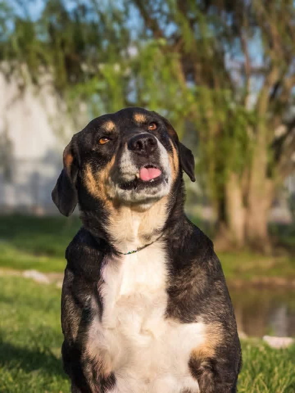 Luna