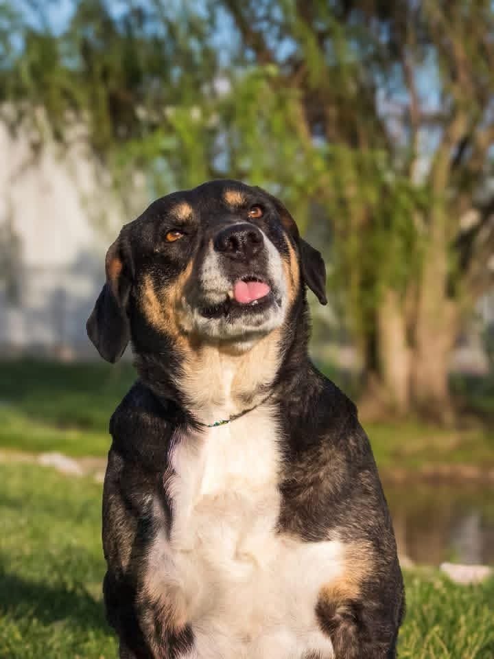 Luna