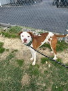 Odie Lee - Photo 1