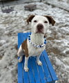 Odie Lee - Photo 2