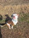 Odie Lee - Photo 4
