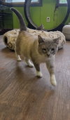 Clyde - Photo 2