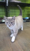 Clyde - Photo 4