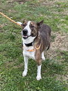 Barry - Photo 1