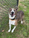 Barry - Photo 2