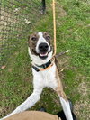 Barry - Photo 3
