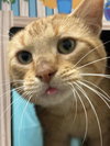 Sweet Tater - Photo 3