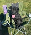 Holly - Photo 2