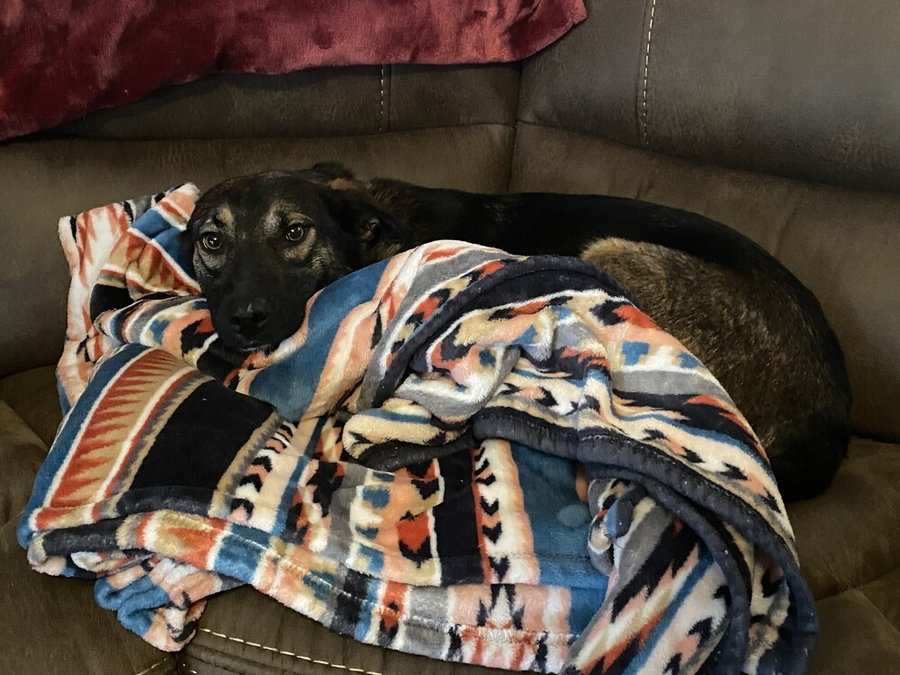 Zora "Hazel