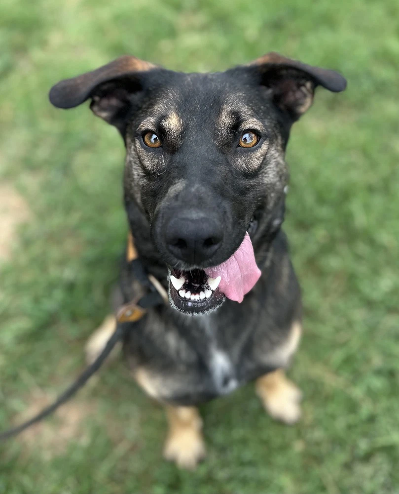 Zora Hazel