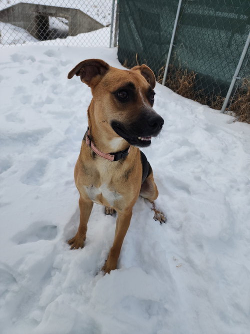 Venus — thumbnail 4