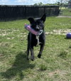 Todd - Photo 3