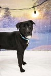 Todd - Photo 4