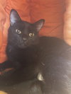 Lily - Photo 1