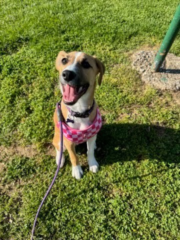 Daisy (Jackpot) Image