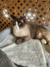 Mr. Man - Photo 1