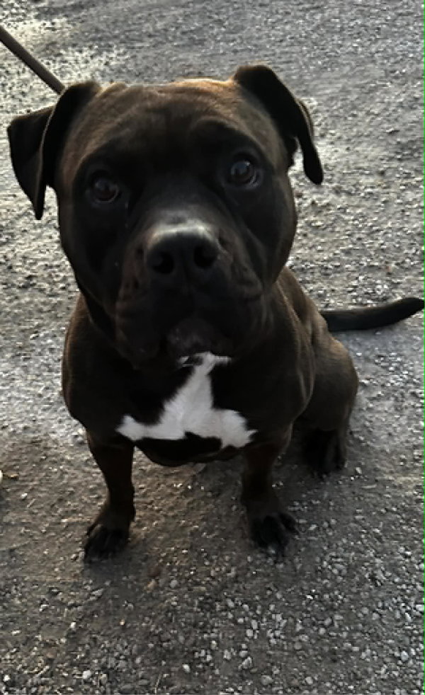 Zeus Maximus