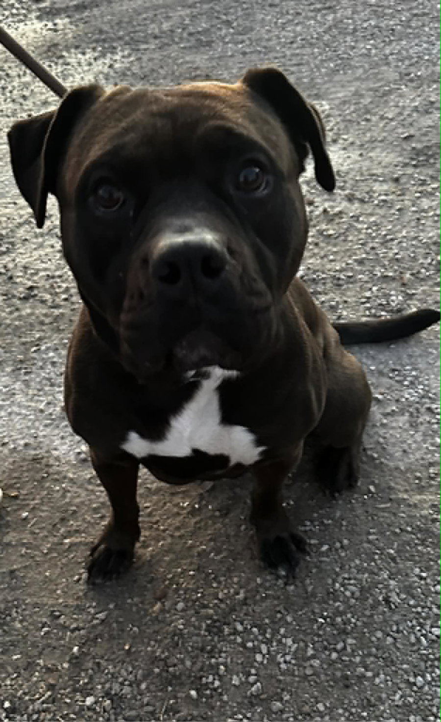 Zeus Maximus