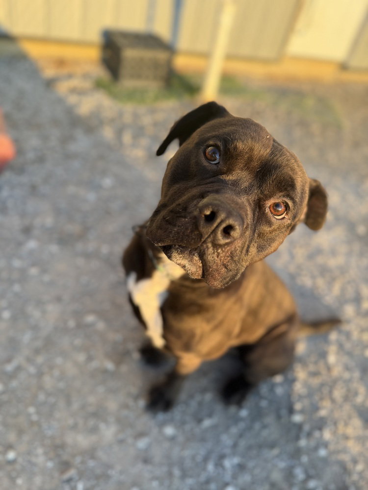 Zeus Maximus, photo 3