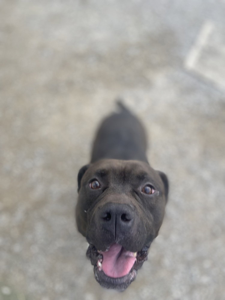 Zeus Maximus, photo 4