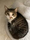 Isabella - Photo 1