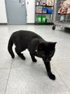 Slinky - Photo 3