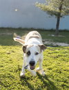 Priah - Photo 3