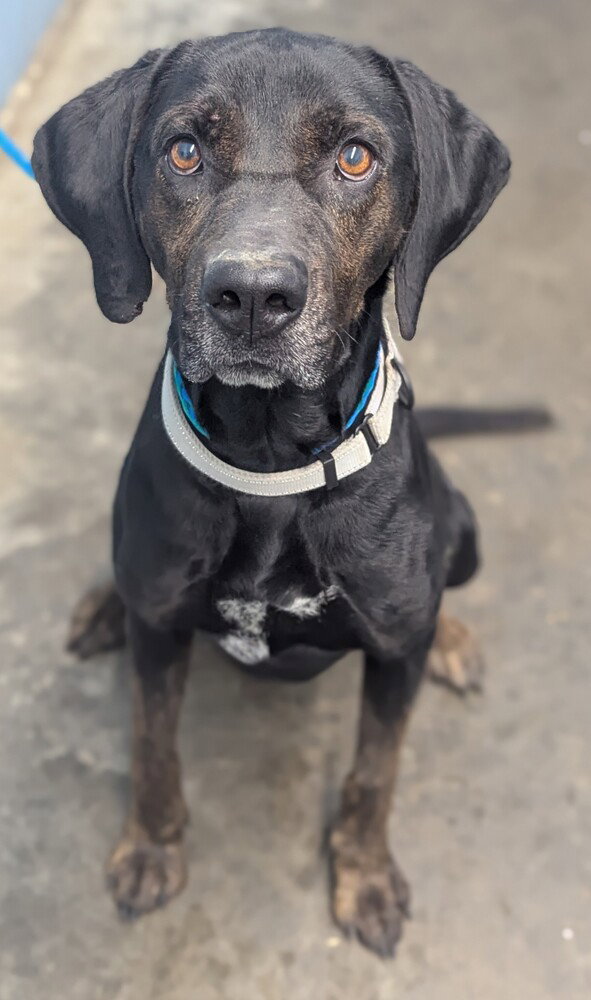 Walter Image