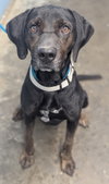 Walter - Photo 1