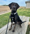 Walter - Photo 3