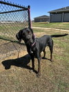 Walter - Photo 4
