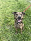 Adeline/Nala - Photo 2