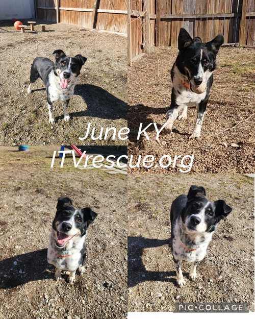 Photo 2 of June KY