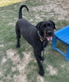 Nibbles - Photo 4