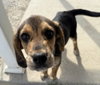 Wallace - Photo 3