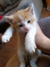 Mario - Photo 1