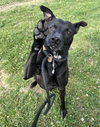 Athena - Photo 4