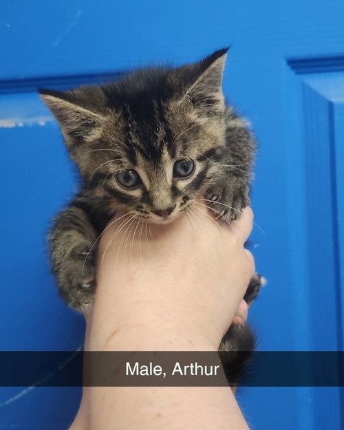 Arthur