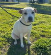 Waverly - Photo 3