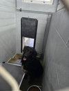 Baloo - Photo 1