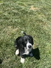 Byron - Photo 2