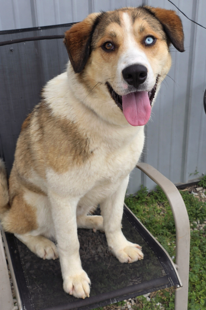 Bodie Image