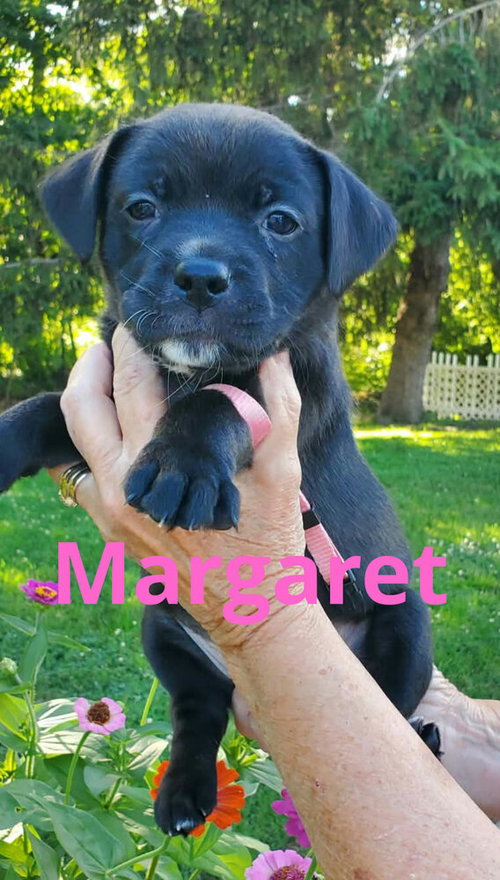 Margaret
