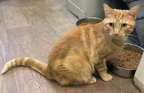 Photo 2 of Castiel