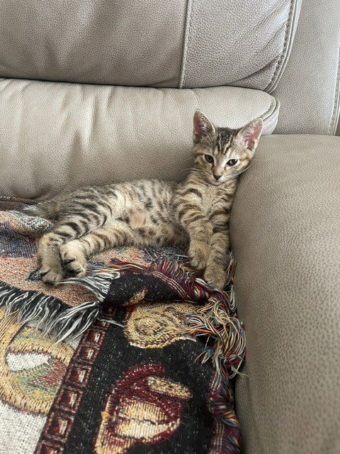 Photo 2 of Josephine