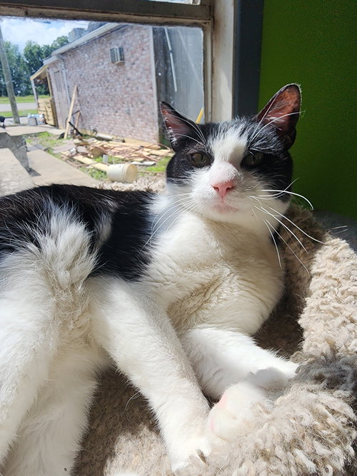 Photo 2 of Freddy