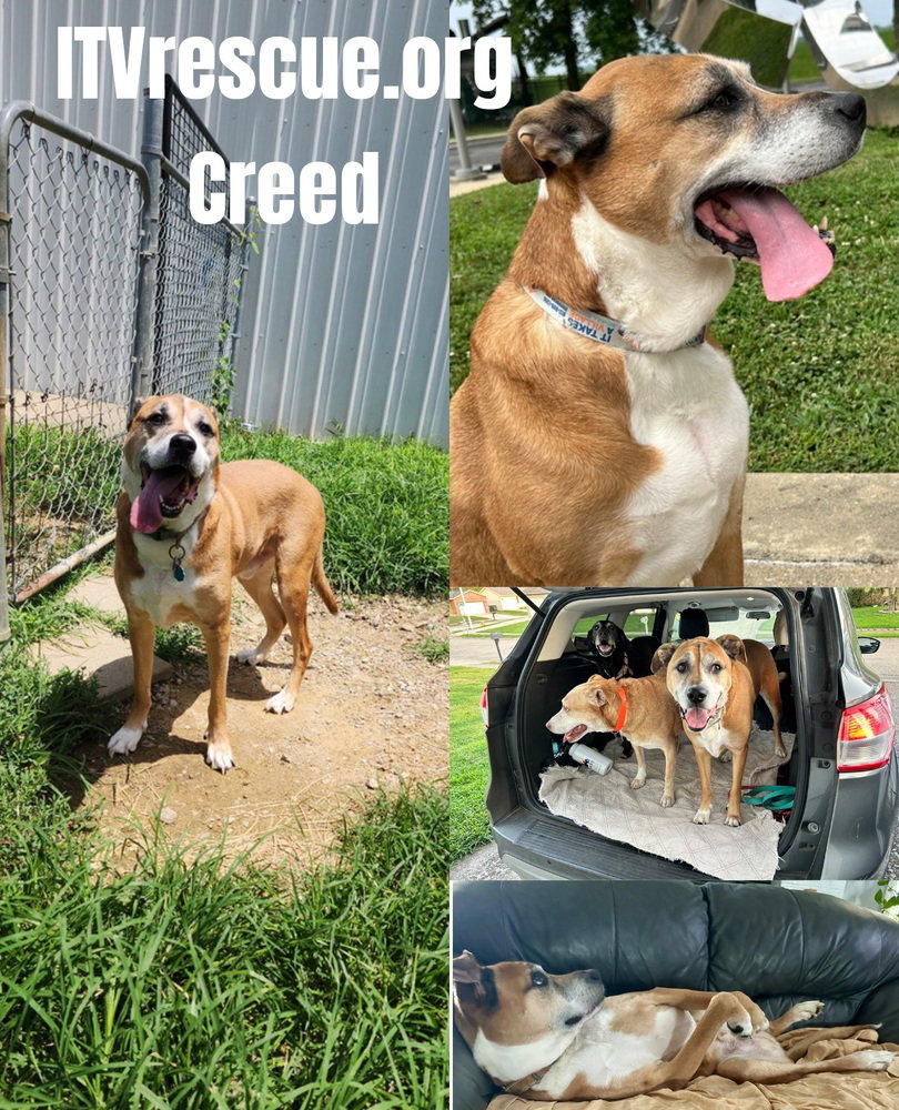 Creed, photo 2