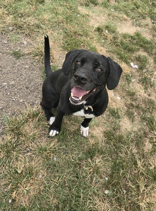 Photo 3 of Cooper Shamus