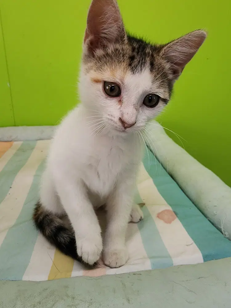 Erin image 2