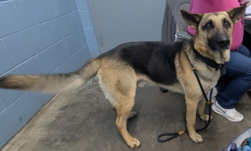 Photo 2 of Kaiser
